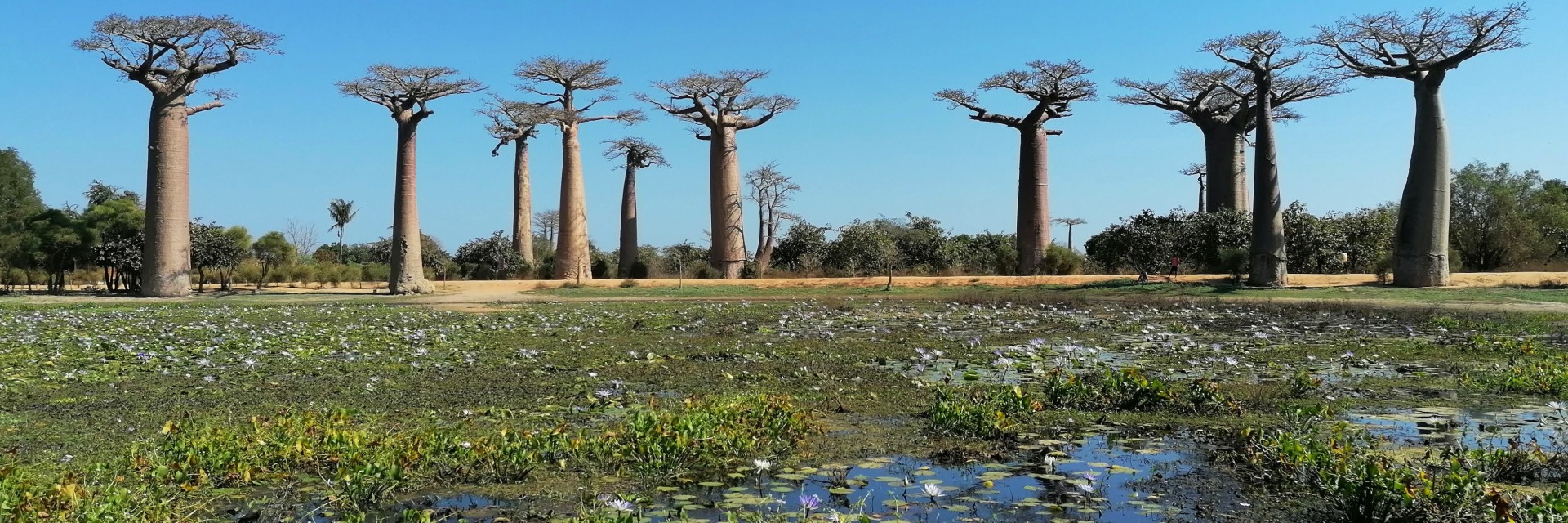 Madagascar