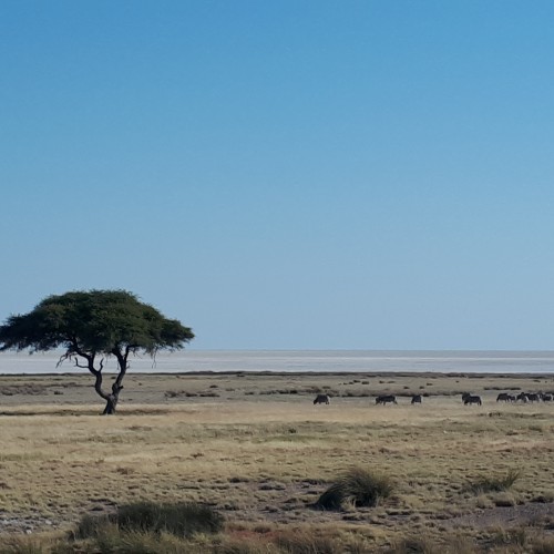 Kenya-Tanzania