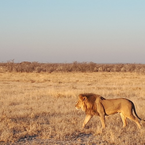 Kenya-Tanzania