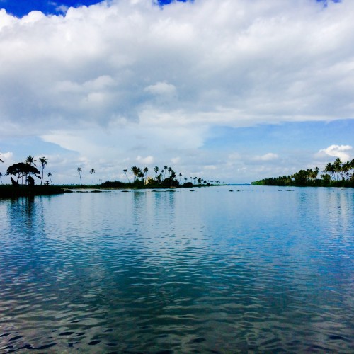 Kerala backwaters