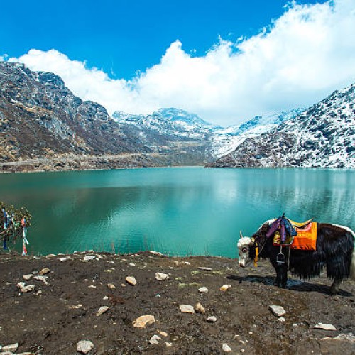 Sikkim - Lago Tsagmo