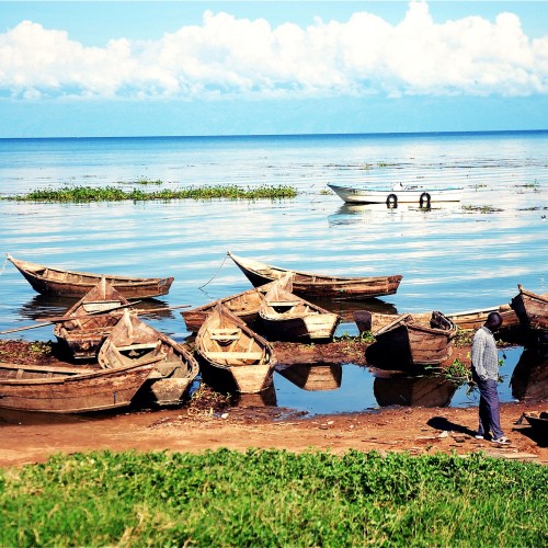 Lago Vittoria Uganda