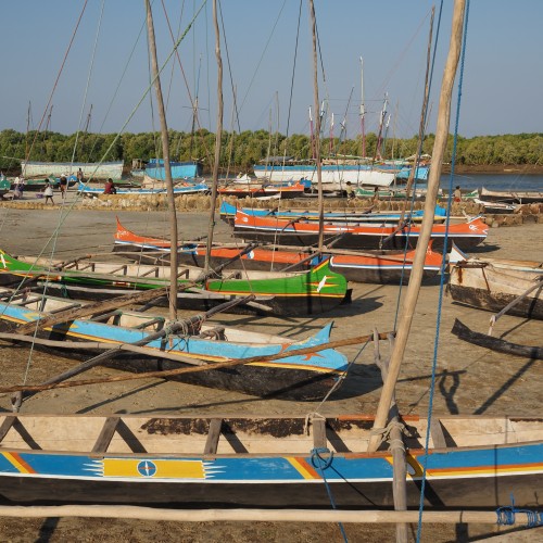 Madagascar Morondava