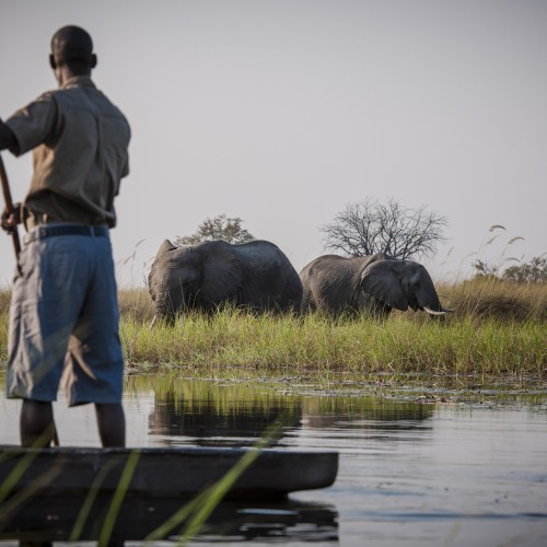 Mokoro Boteti River