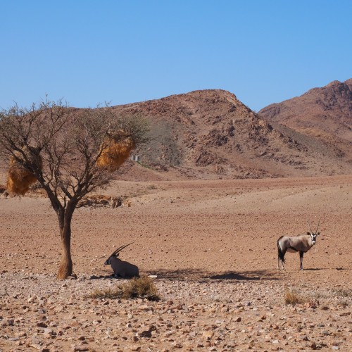 Namibia