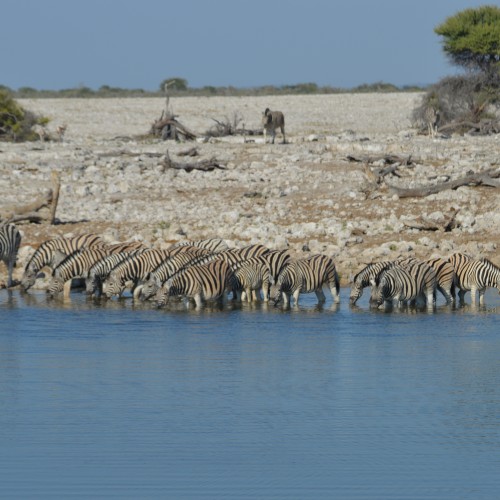 Namibia