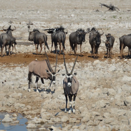 Namibia