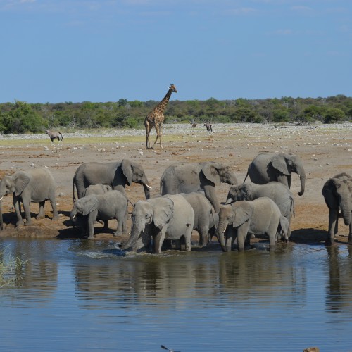 Namibia