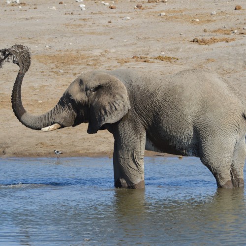 Namibia