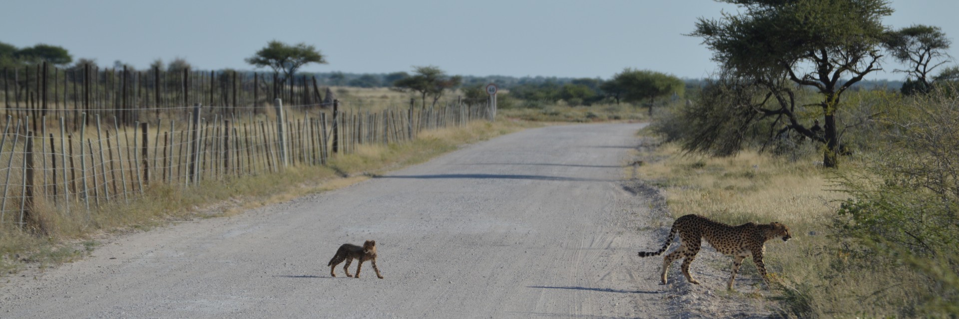 Namibia