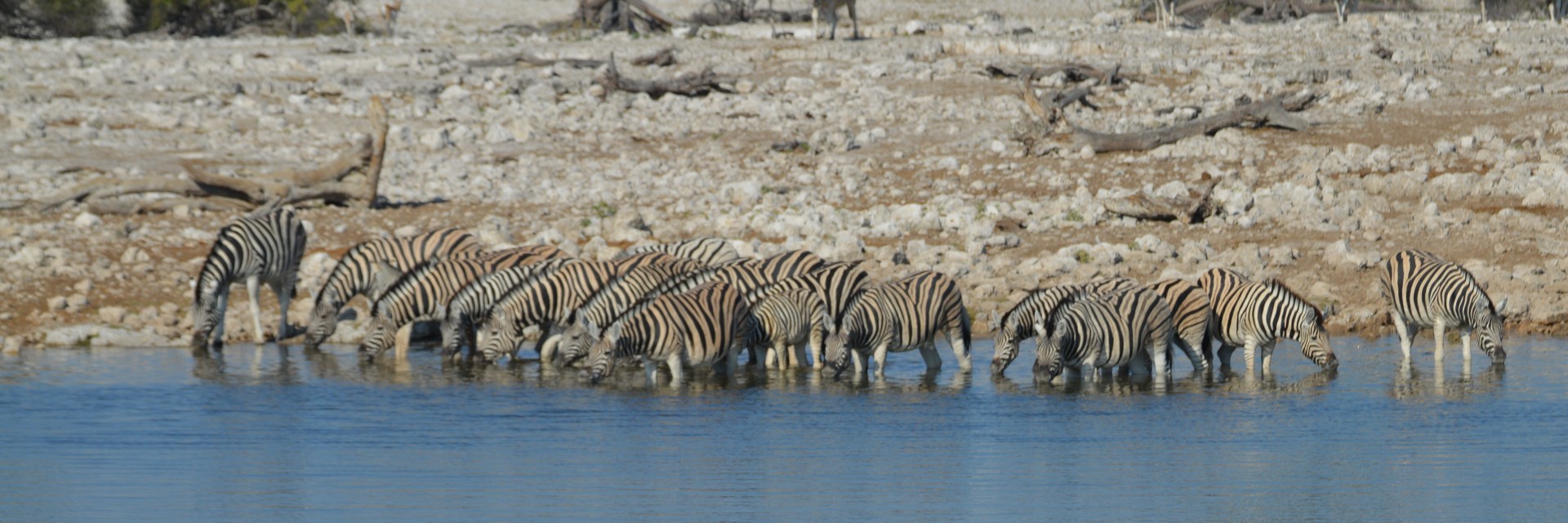 Namibia