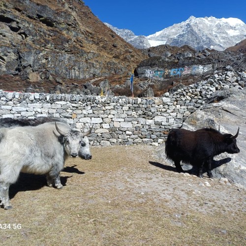 Nepal_Langtang