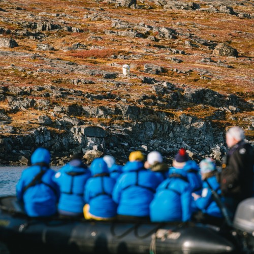 Newfoundland (Labrador, Canada) 