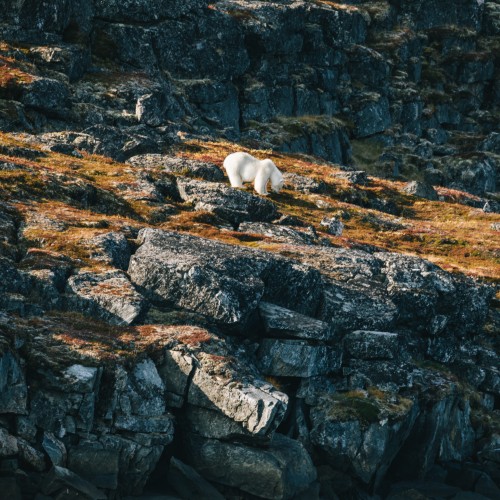 Newfoundland (Labrador, Canada) 