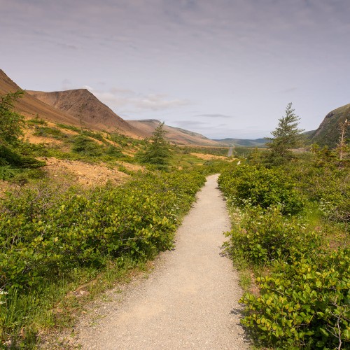 Newfoundland (Labrador, Canada) 