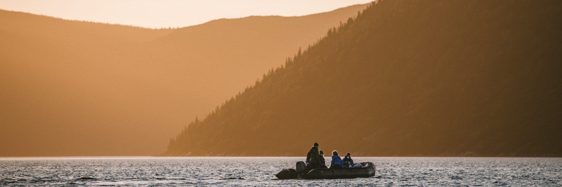 Newfoundland (Labrador, Canada) 