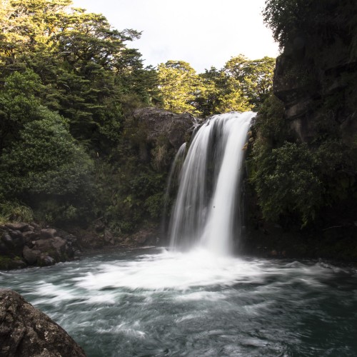 NZ Gollum Fall 