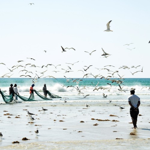 Oman Sud 
