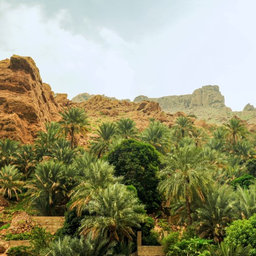 Oman Nord