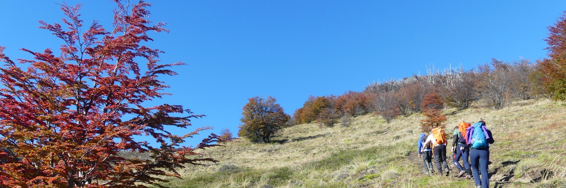 Patagonia autunnale