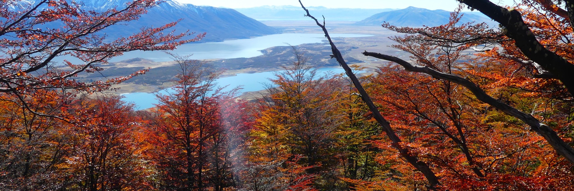 Patagonia autunnale