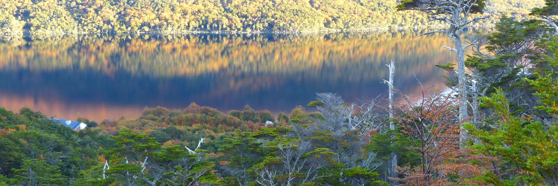 Patagonia autunnale