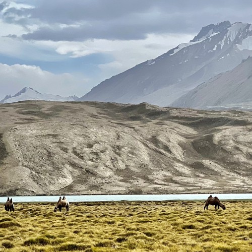 Pamir