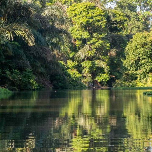 Parco Tortuguero