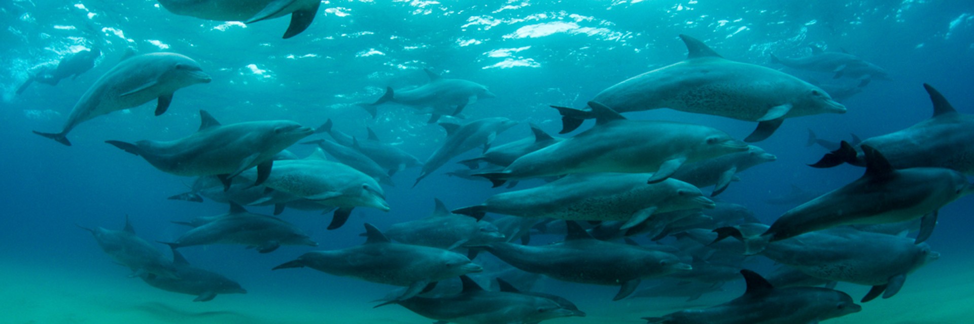 Ponta do ouro Mozambico