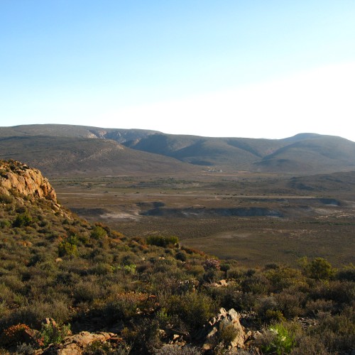 Route 62 Karoo