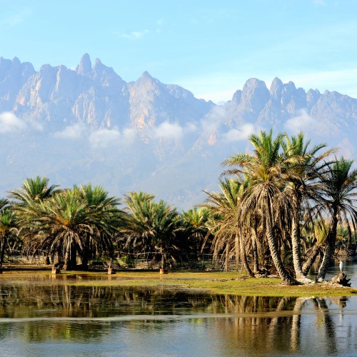 Socotra 