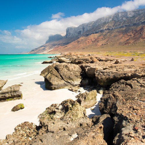 Socotra 