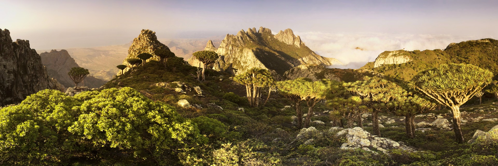 Socotra 