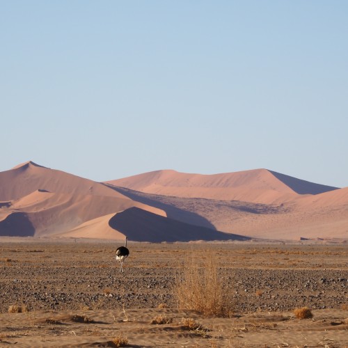 Namibia