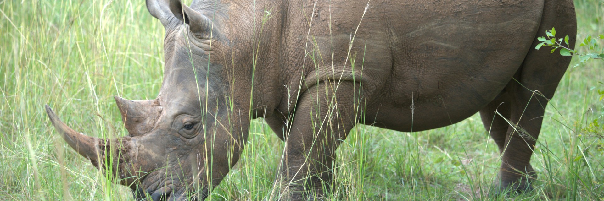 Uganda Kailas Viaggi