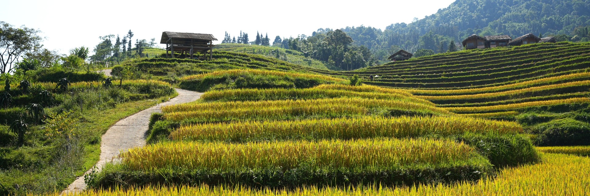 Vietnam Nord