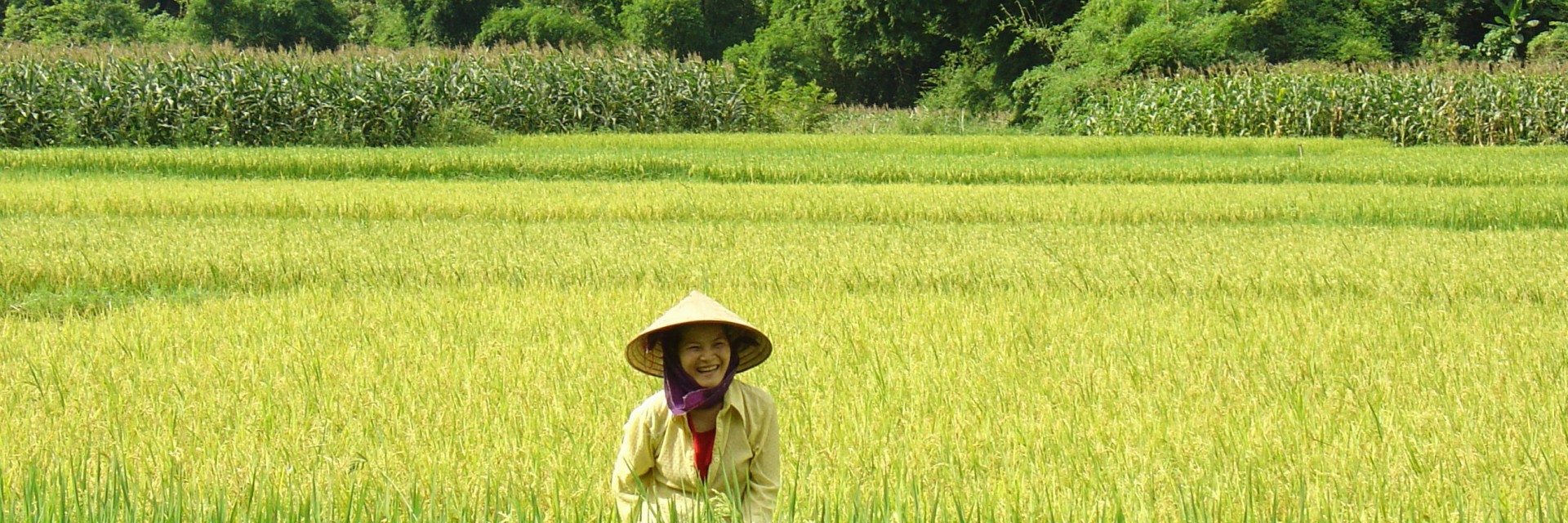 Vietnam Nord