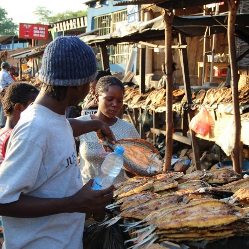 Zambia mercato