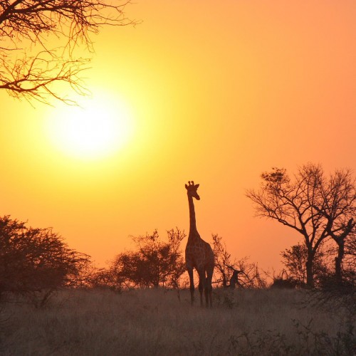 Zambia tramonto