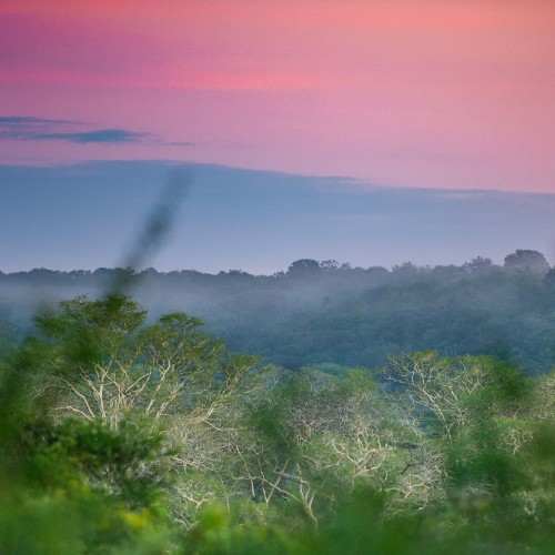 Zululand lodge