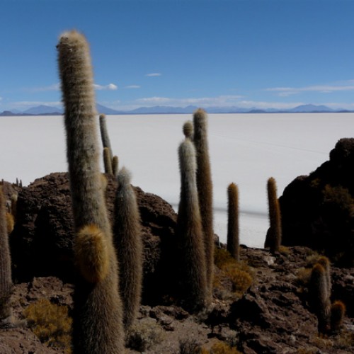 I Vulcani Delle Ande Viaggio Sugli Altopiani Tra Cile E Bolivia Eventi Kailas Viaggi E Trekking 8646