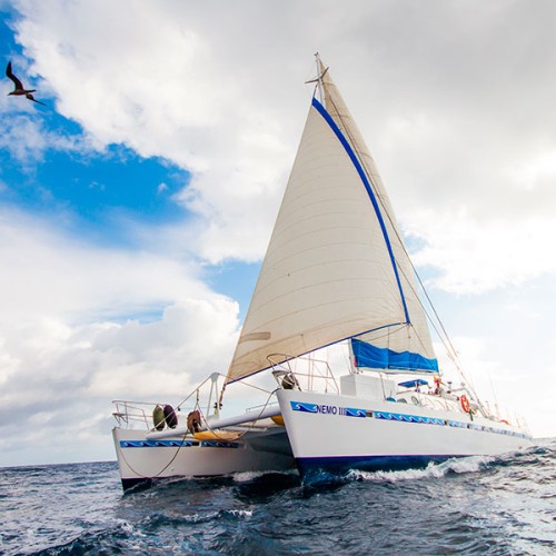 Galapagos crociere