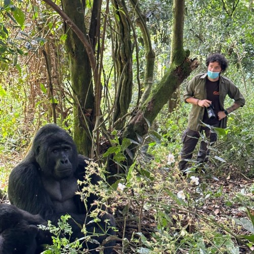 Uganda - Bwindi Impenetrable Forest