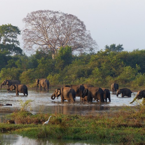 Sri Lanka