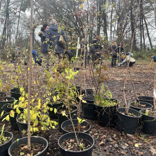 impianto Ticino 2024