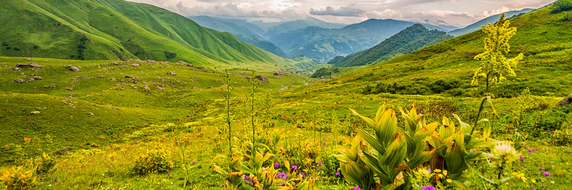 kazbegi national park 