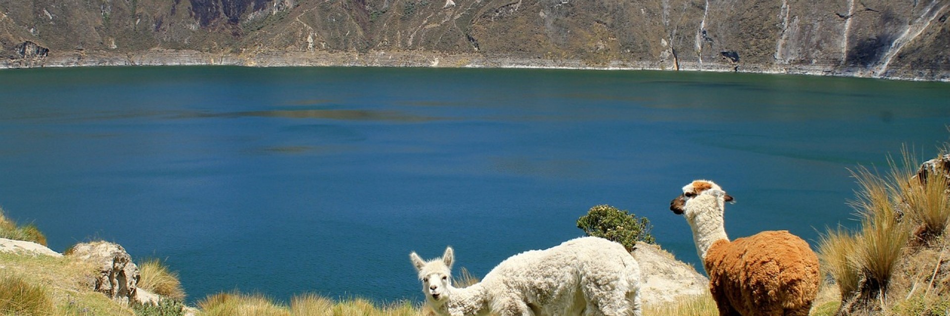 ecuador 