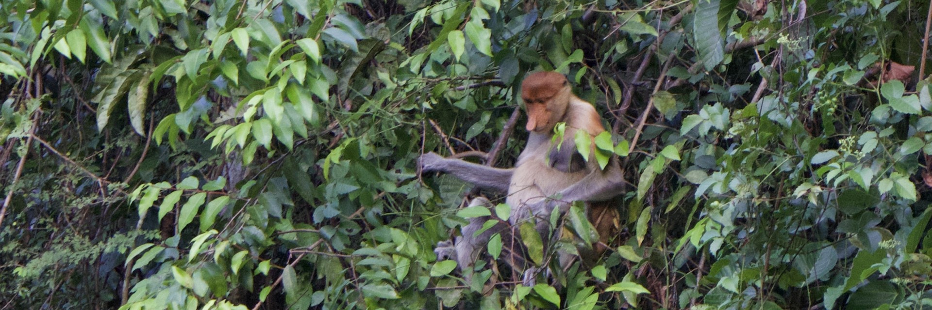 Sabah 