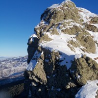 pennino