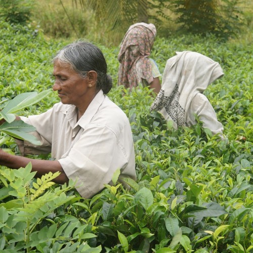 Sri Lanka